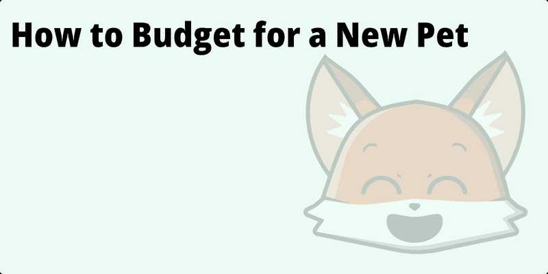 How to Budget for a New Pet hero